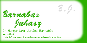 barnabas juhasz business card