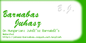 barnabas juhasz business card